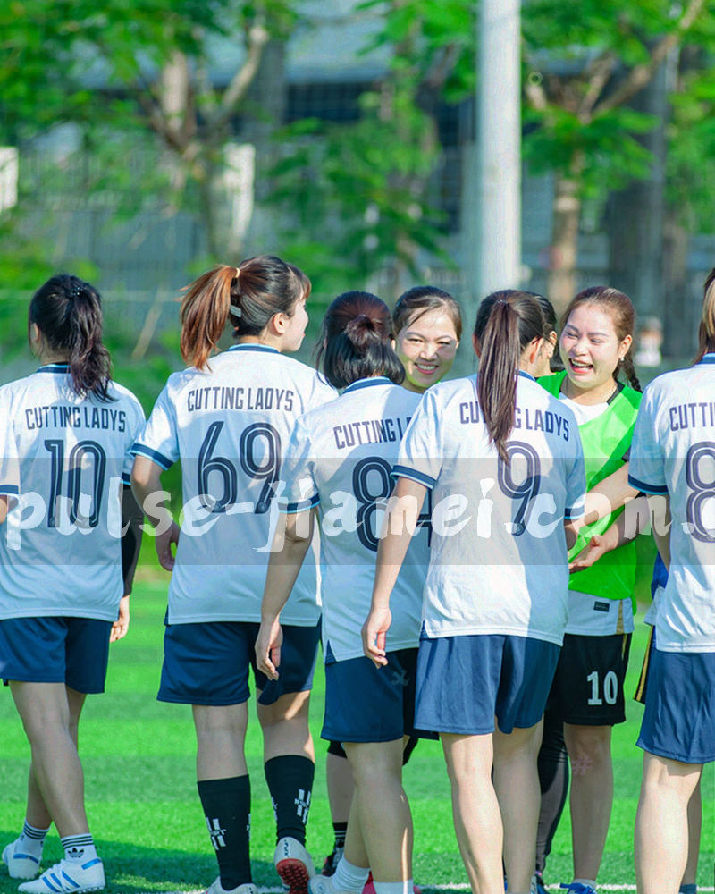手机屏幕底部数据栏与订阅选项的示意图，界面内容用抽象色块表示